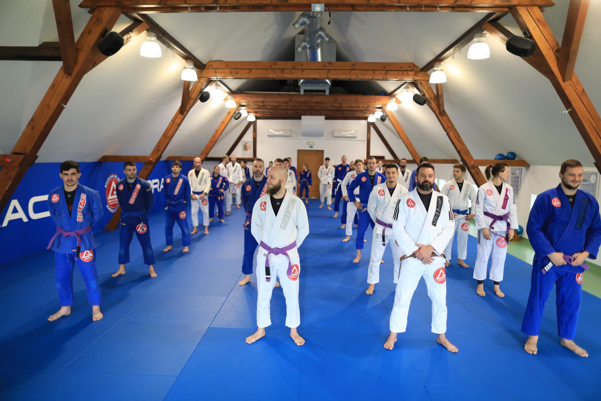 Video: učenka z rumenim pasom